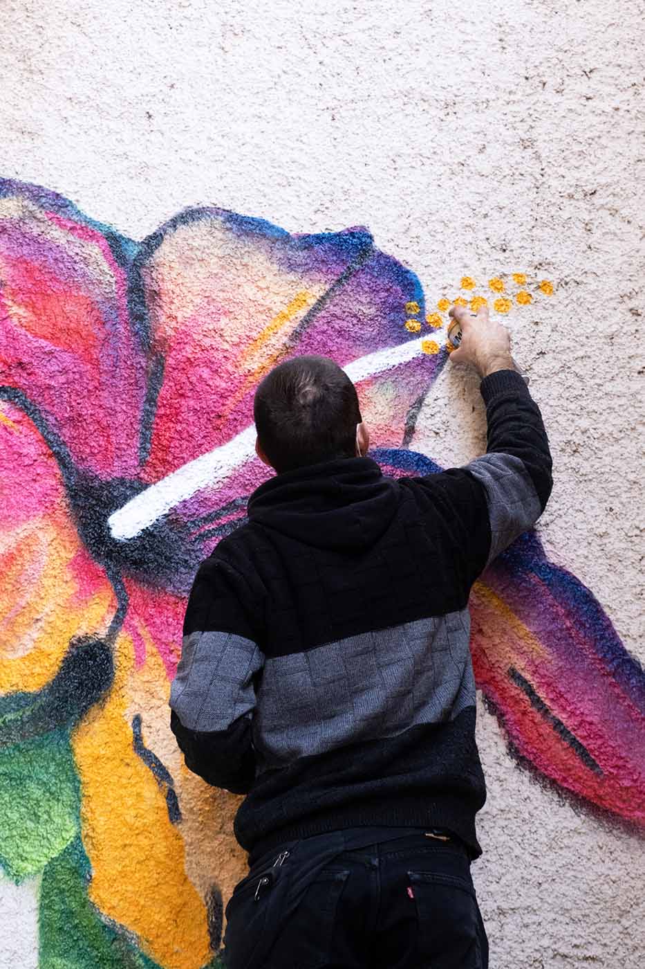 Επαγγελματικές τοιχογραφίες, ζωγραφική σε τοίχους. Wall Spirit Murals