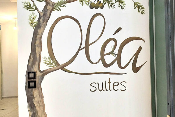 IMG_20260326_153700_LOW τοιχογραφία σε ξενοδοχείο, ζωγραφική δέντρου ελιάς σε τοίχο